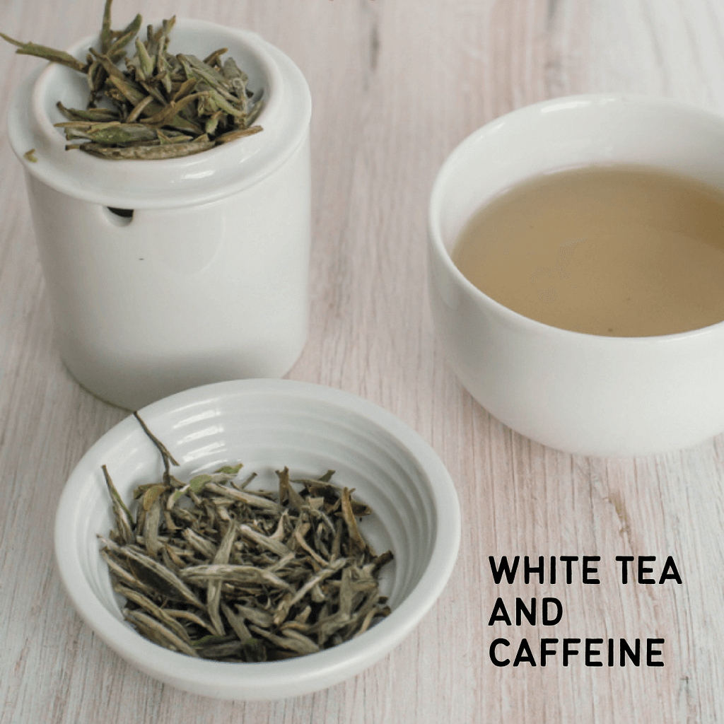 What is White Tea? Its Types, Caffeine, Benefits. Chaiaroma